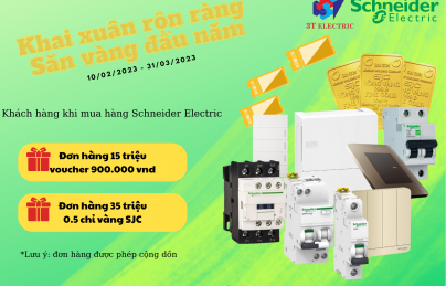 Khai xuan ron rang - San vang dau nam Khai xuan ron rang - San vang dau nam